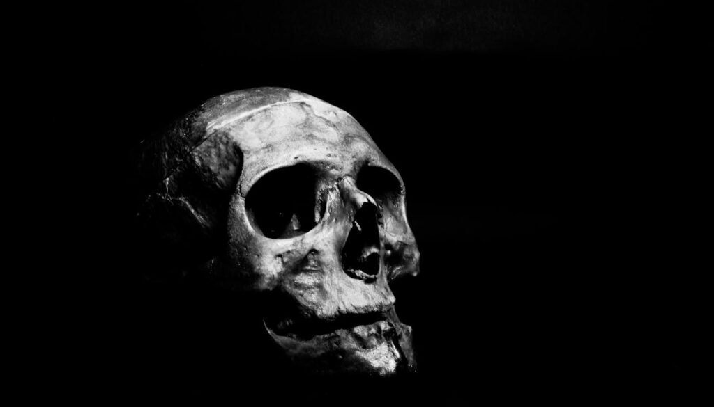 Skull of Satoshi