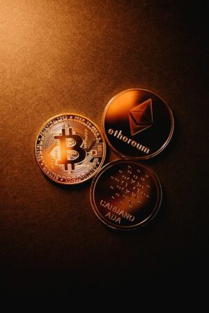 ADA in your portfolio