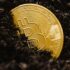 Bitcoin has surged past $111K