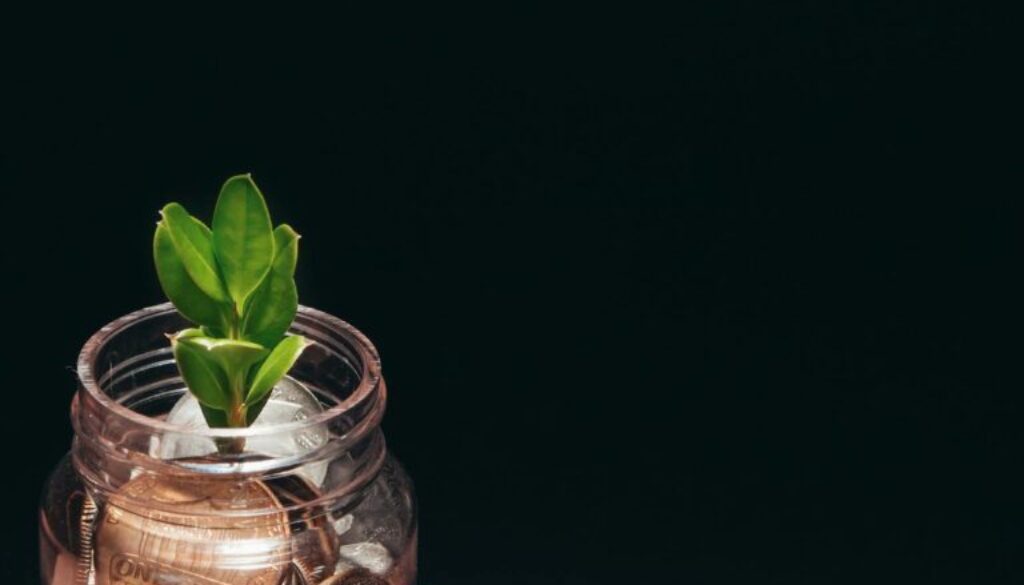 Best Cryptocurrency Investments for 2025: Top Picks, Facts, and Price Predictions