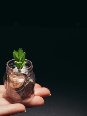 Best Cryptocurrency Investments for 2025: Top Picks, Facts, and Price Predictions
