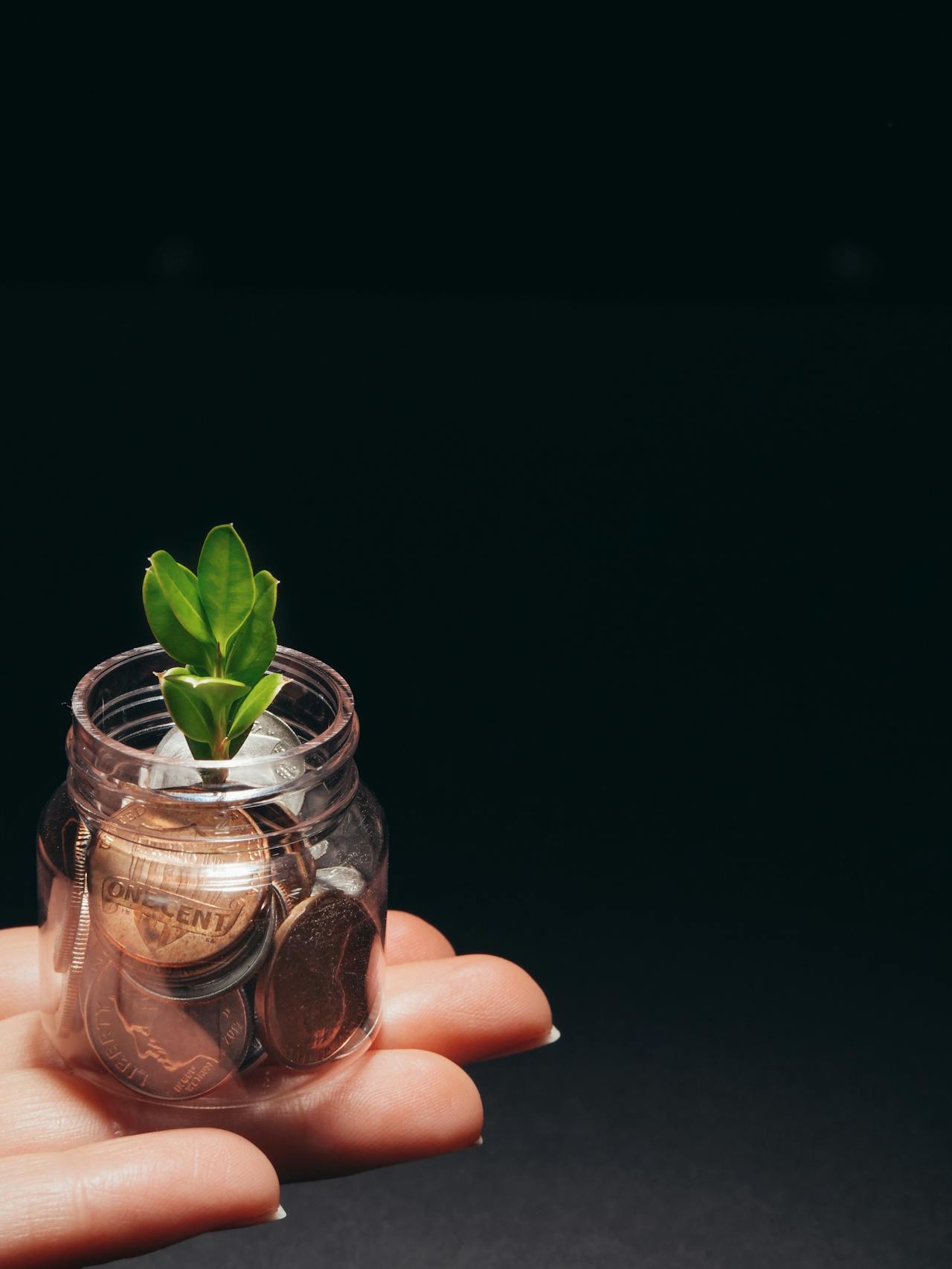 Best Cryptocurrency Investments for 2025: Top Picks, Facts, and Price Predictions