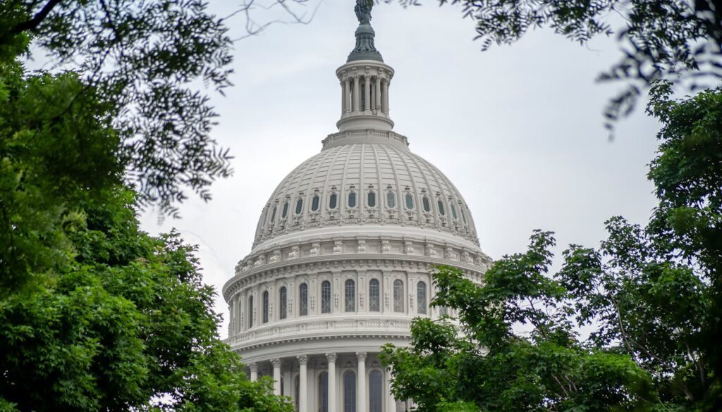 Federal Reserve XRP debt settlement