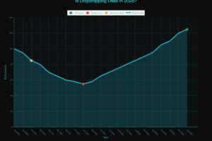 The Future of Dropshipping