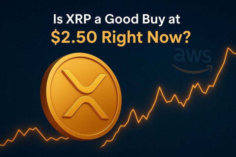 XRP is back in the spotlight!